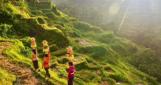 6 Rekomendasi Wisata Budaya Bali yang Memesona